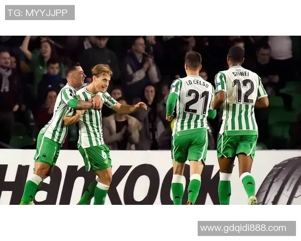 纽卡斯尔联主场迎战莱切斯特全力争胜展现球队实力与斗志